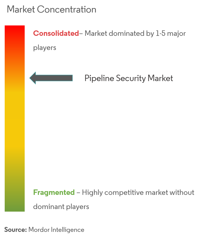 Honeywell International Inc.、通用电气公司、ABB Ltd.、罗克韦尔自动化公司、Siemens AG、Schneider Electric SE、Optasense Ltd.、Senstar Corporation、华为技术美国公司、ESRI Inc.